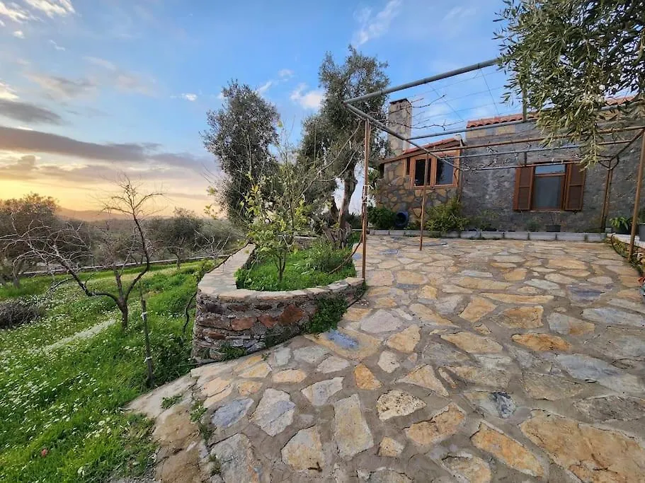 Villa Eleia Bodrum - Olive Garden & Stone House