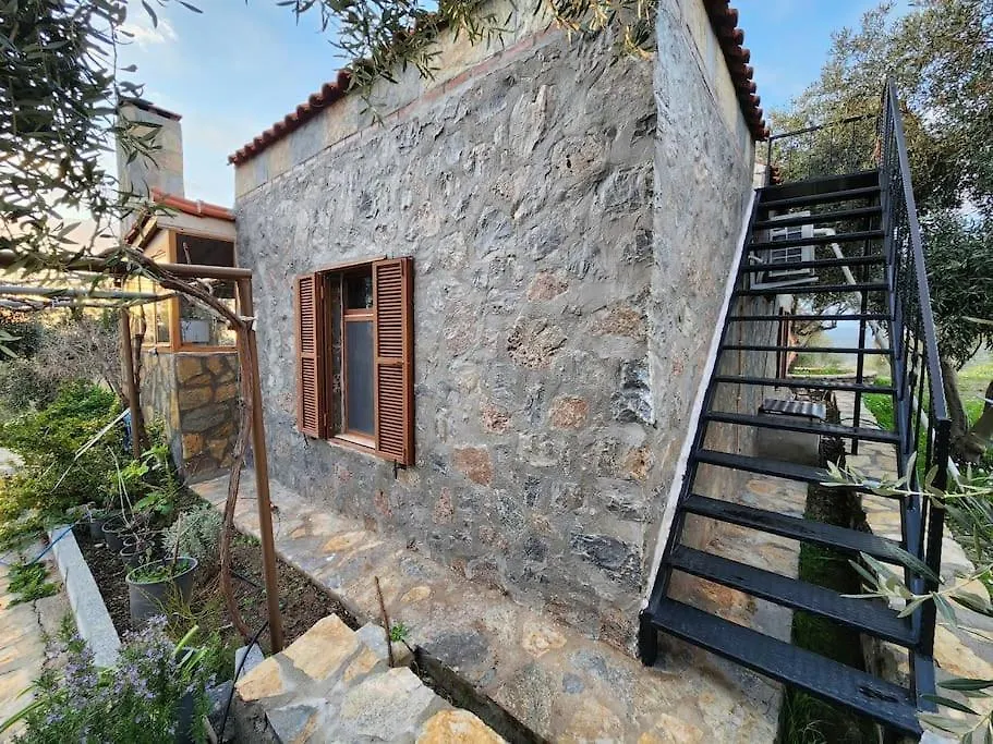 Villa Eleia Bodrum - Olive Garden & Stone House 0*,  Turkey