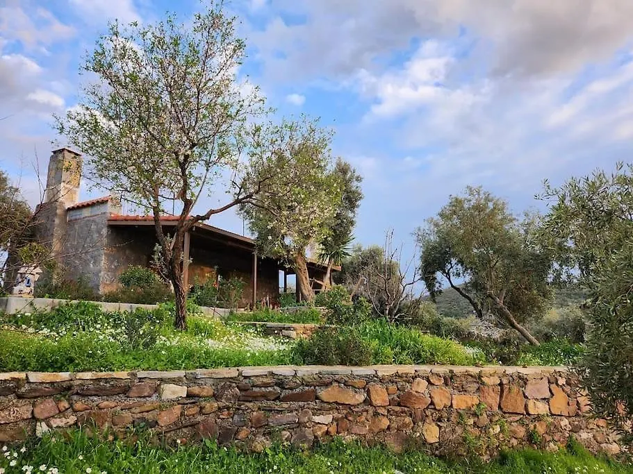 Villa Eleia Bodrum - Olive Garden & Stone House 0*,  Turkey