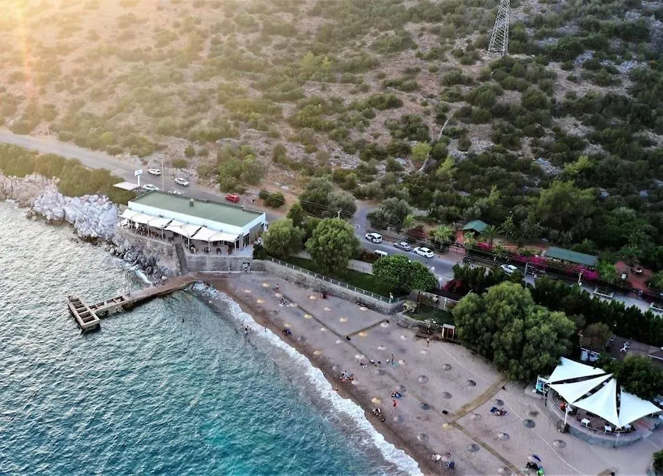 Apartment Villa Eleia Bodrum - Olive Garden & Stone House