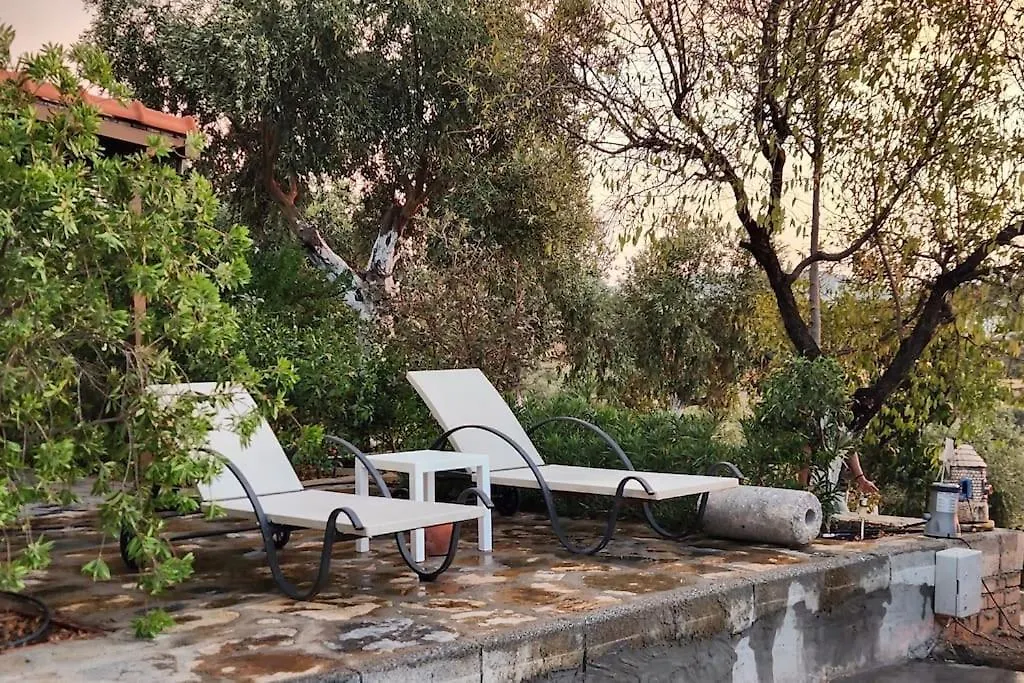Villa Eleia Bodrum - Olive Garden & Stone House Turkey