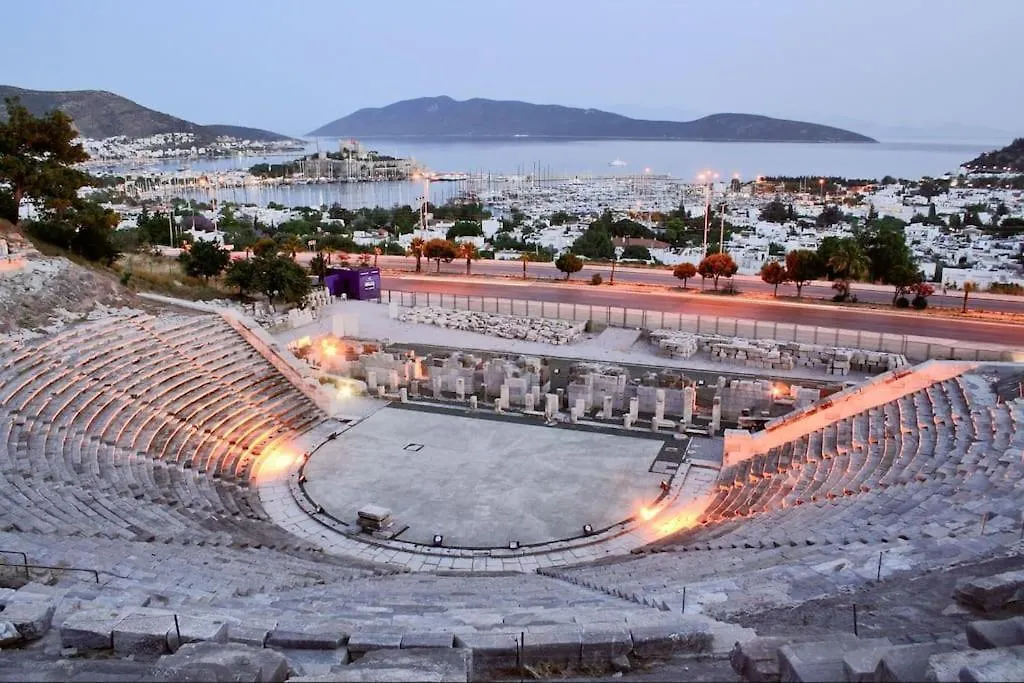 Villa Eleia Bodrum - Olive Garden & Stone House