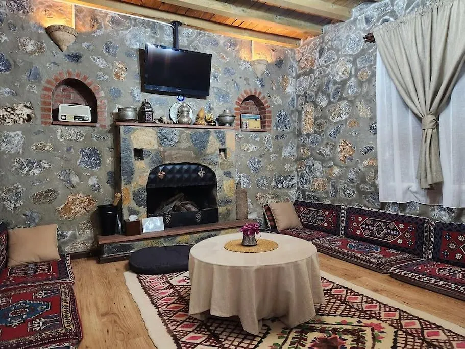 Apartment Villa Eleia Bodrum - Olive Garden & Stone House